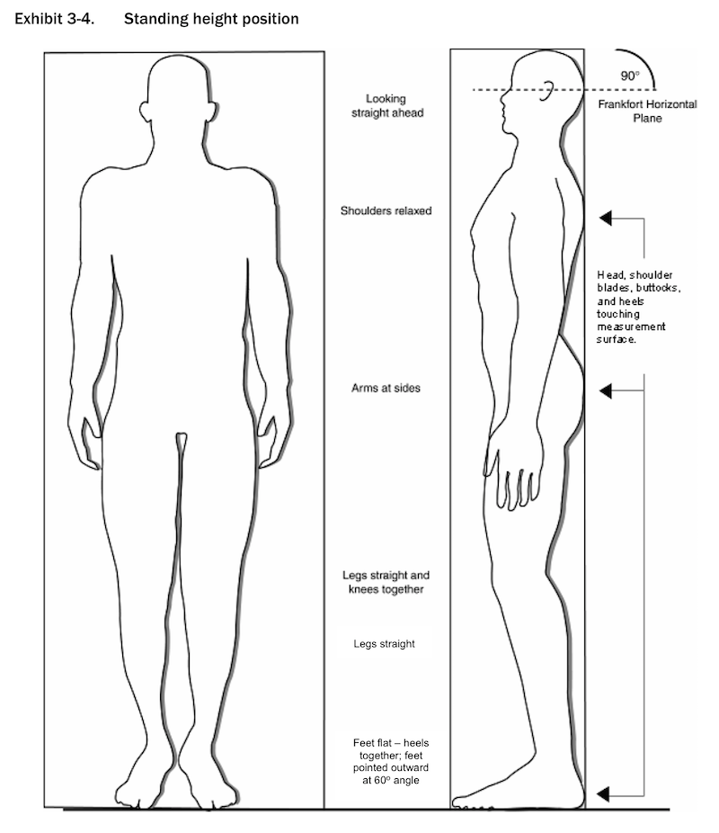 Why the simple waist-to-height ratio is a powerful health measurement -  Diet Doctor