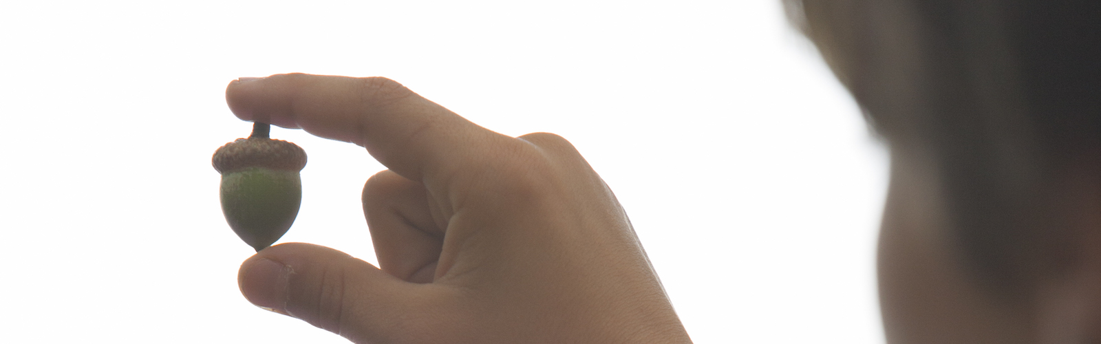 Boy looking at an acorn he holds between two fingers.