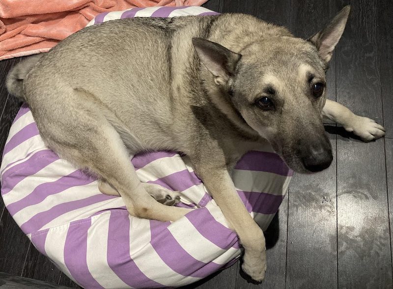 The DQYDJ Weekender 1 02 2021