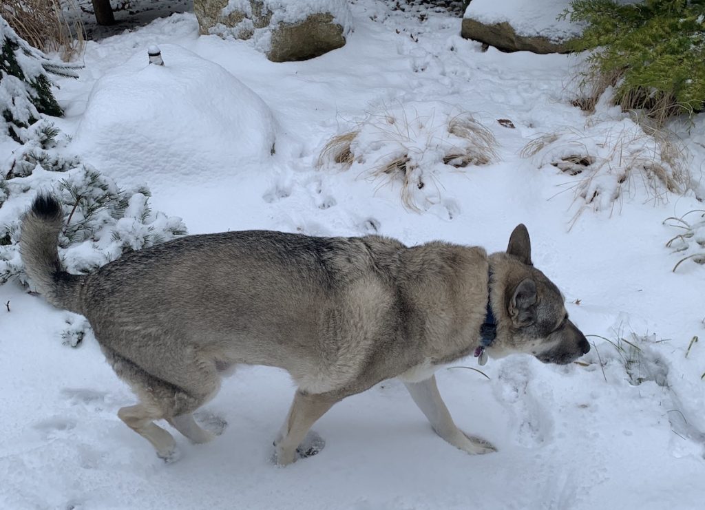 The DQYDJ Weekender 1 28 2023